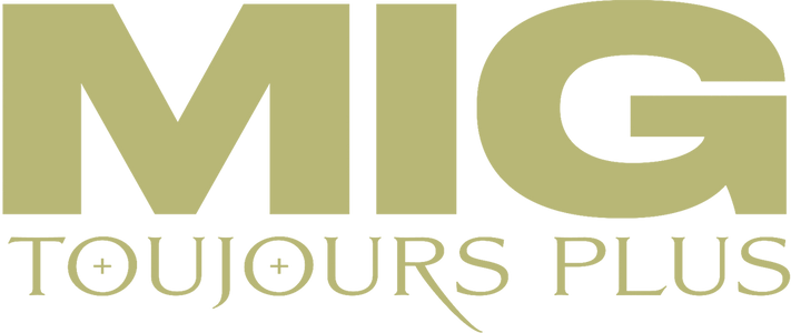 Store Officiel Mig logo